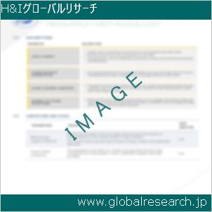 グローバルリサーチ調査レポートのイメージ